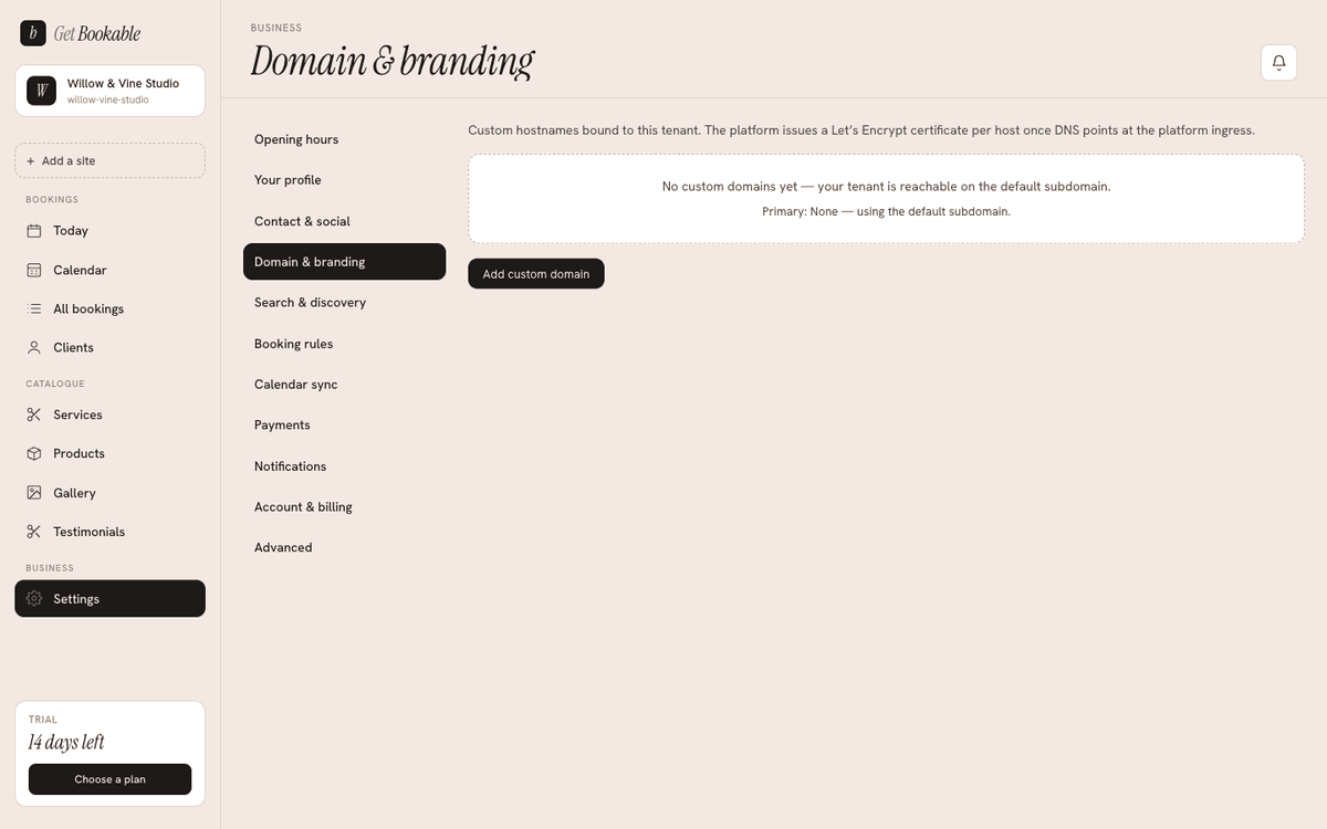 The Domain settings, where you add a custom domain and follow its status.